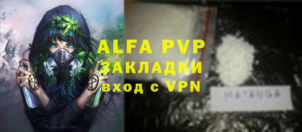 амф Снежинск